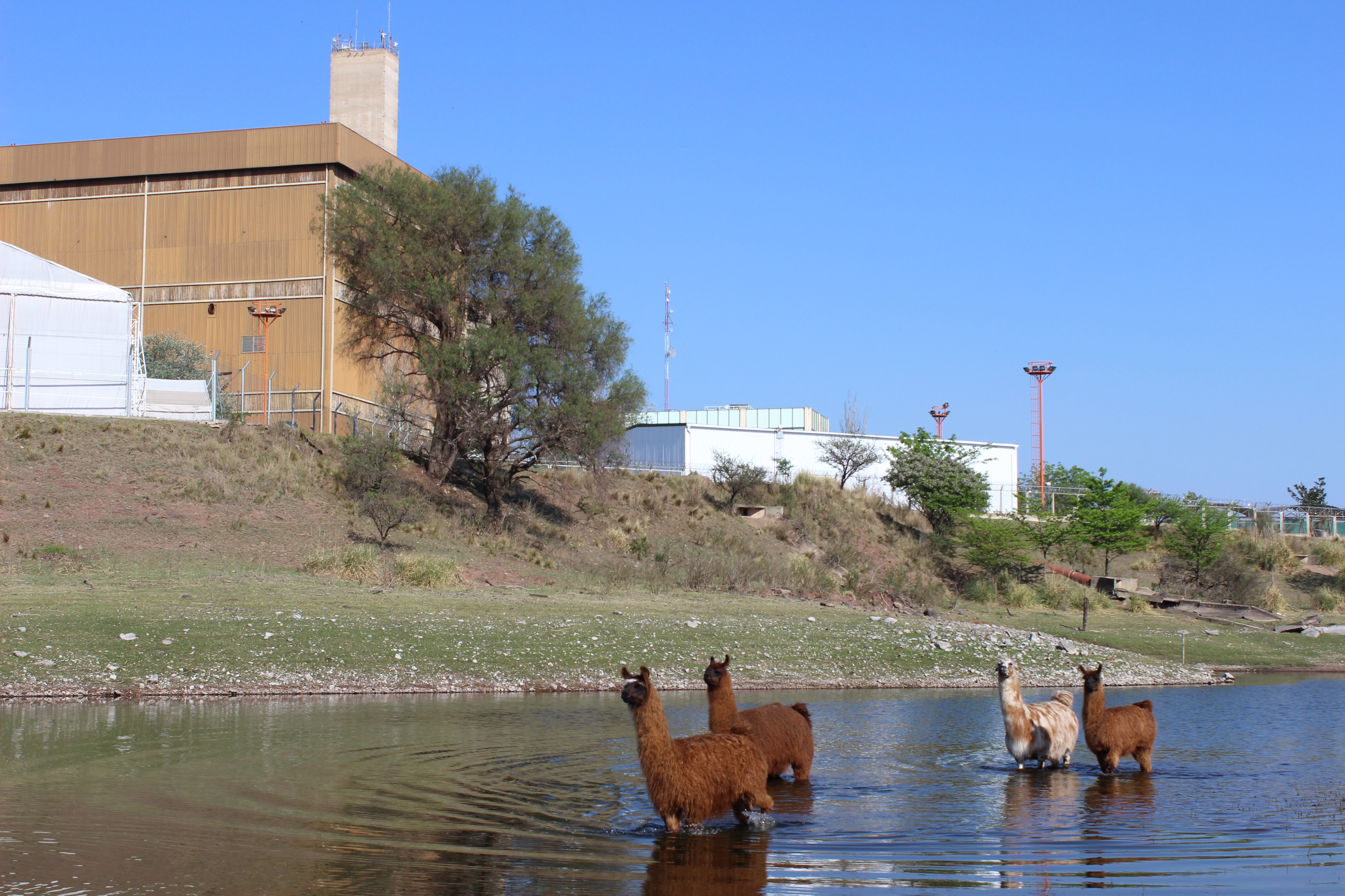 Día Internacional contra el Cambio Climático