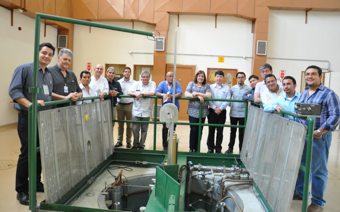 Se realizó en Brasil el Taller para presentación de los resultados de la Evaluación y Análisis del Impacto Ambiental de Proyectos de Generación de Electricidad Usando la Herramienta del OIEA “SIMPACTS”.