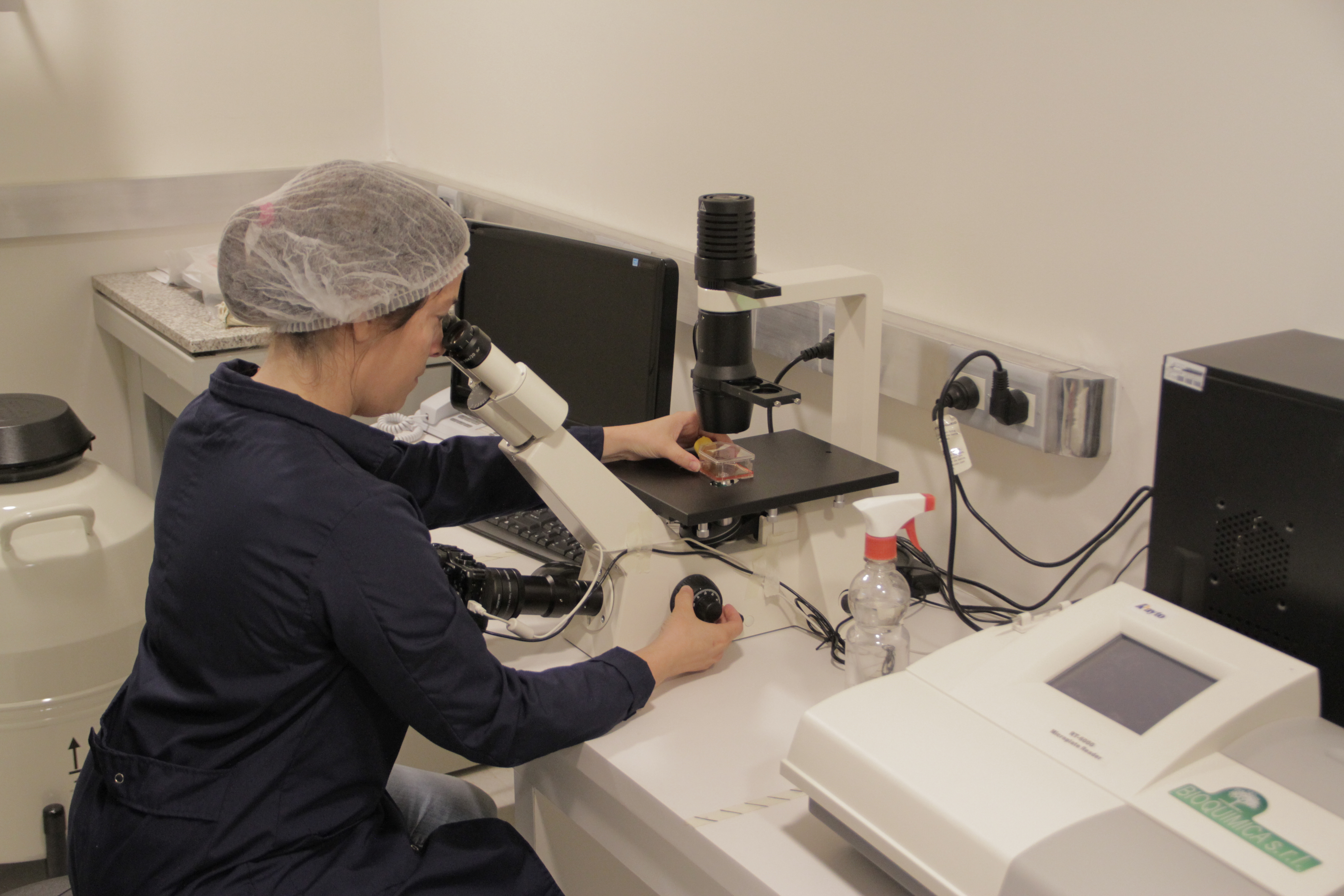 Nuevos compuestos irradiados para aplicaciones médicas