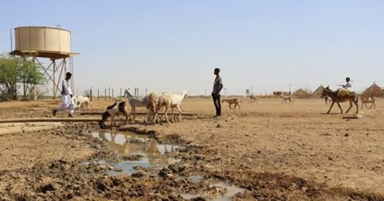 Tecnología nuclear para controlar las epidemias de animales en África y Mongolia