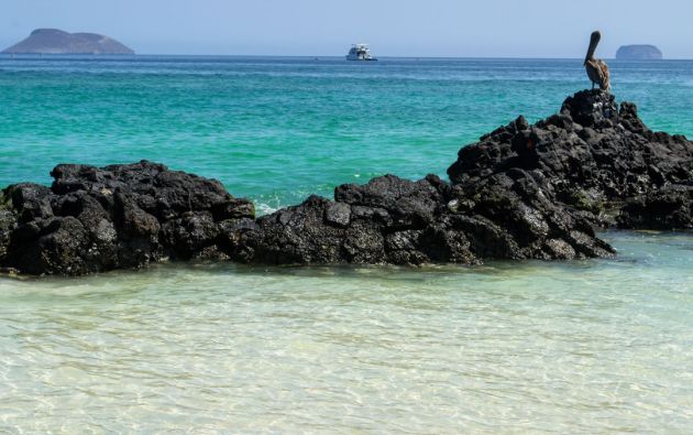 OIEA SE COMPROMETE A APOYAR LA CONSERVACIÓN DE GALÁPAGOS