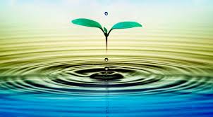 Los países de Latinoamérica implementarán técnicas nucleares para una mayor eficiencia en el uso de agua