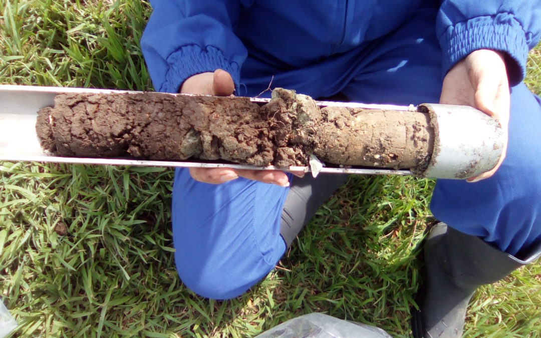Desarrollan campaña de muestreo en cuenca cubana bajo el marco de proyecto ARCAL CLV RLA/5/076