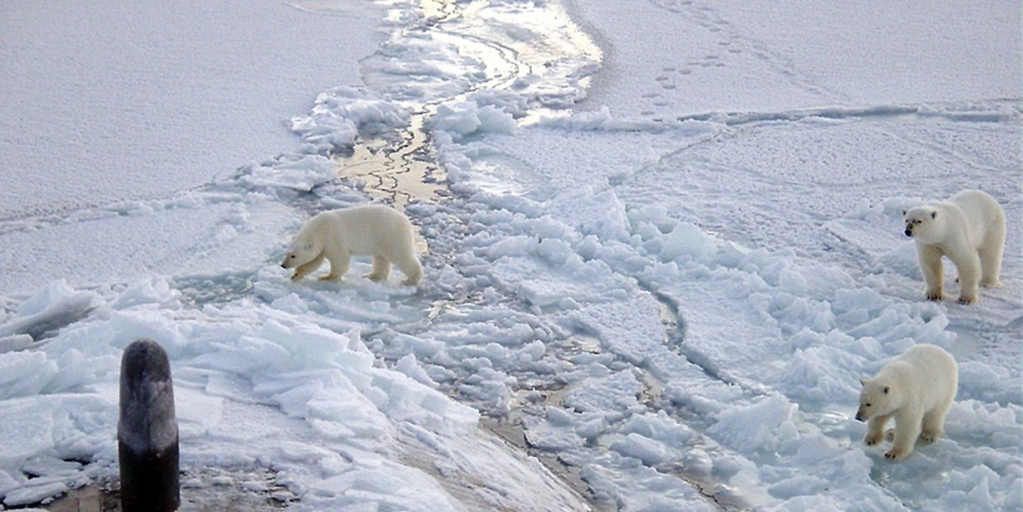 Así es el rompehielos ruso con motor nuclear que se lanzará en 2019
