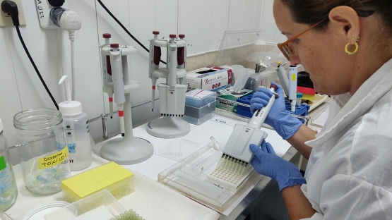 CUBA: primer laboratorio regional capaz de detectar biotoxinas con técnicas nucleares