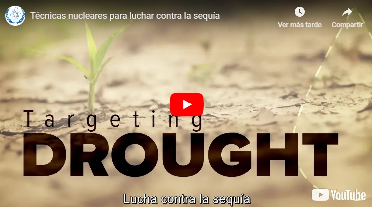 Video: Técnicas nucleares para luchar contra la sequía