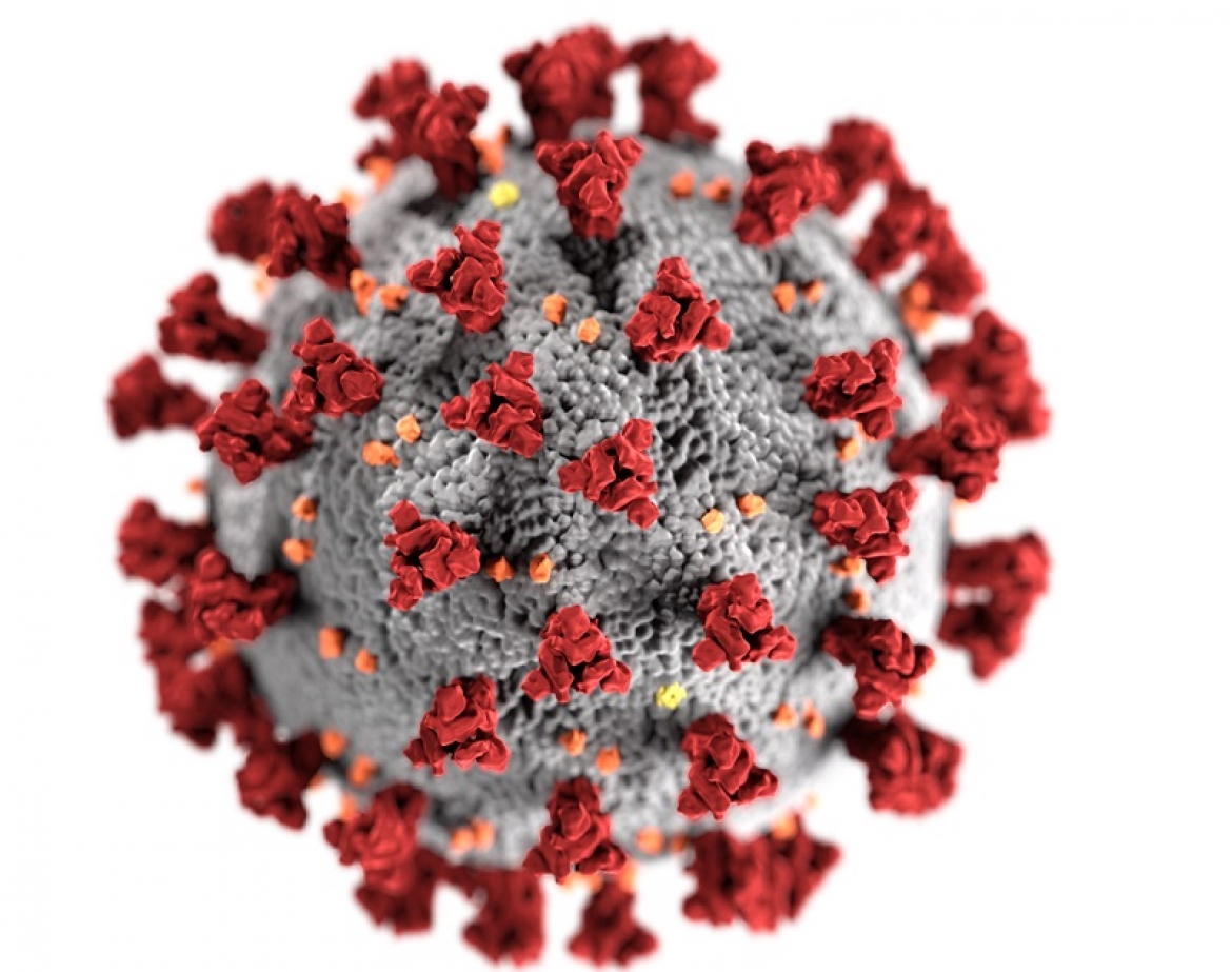 Tecnología Nuclear en Tiempos de Pandemia