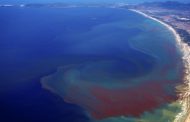 Técnicas nucleares para ayudar a América Latina y el Caribe a cumplir el Objetivo de Desarrollo Sostenible 14
