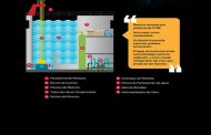 Infografías Educativas - CCHEN