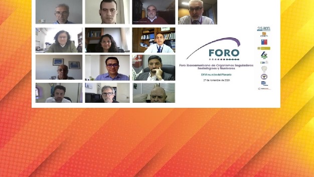 ARN participó de la 26° reunión del Plenario del Foro Iberoamericano de Organismos Reguladores Radiológicos y Nucleares
