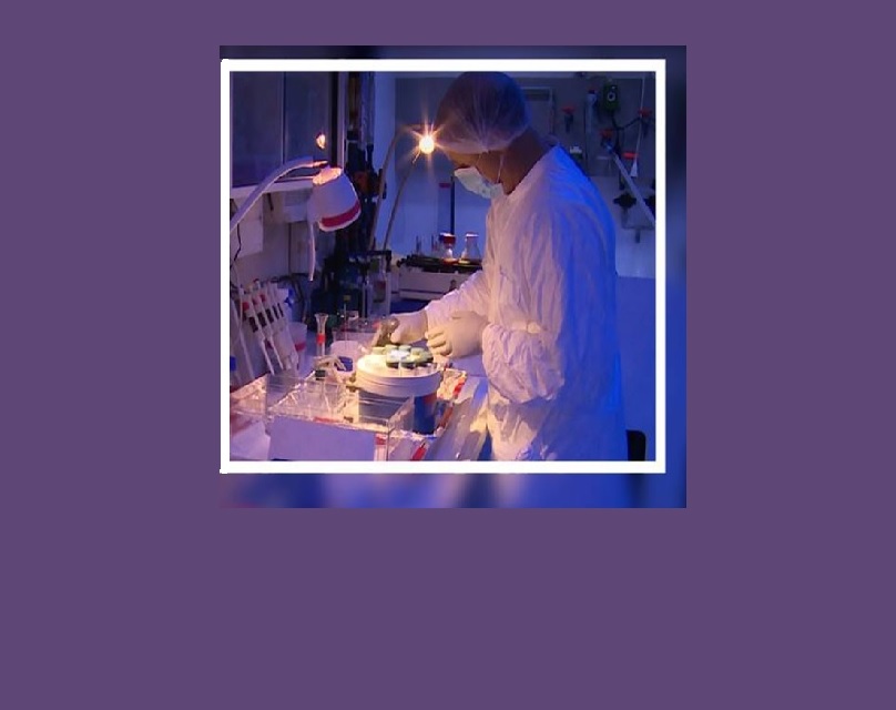 El futuro de la Iniciativa de Usos Pacíficos: respuesta a los desafíos y emergencias mundiales.