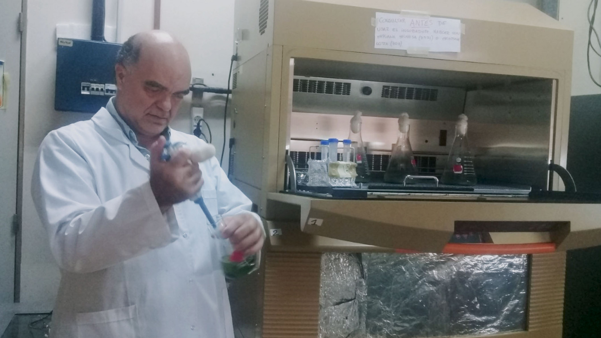 Nueva tecnología nuclear protege la salud de las personas al determinar la toxicidad en moluscos