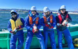 El Director General del OIEA se suma a expertos internacionales para tomar muestras de agua de mar cerca de Fukushima