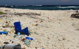 La iniciativa NUTEC Plastics ayuda a proteger la biodiversidad en las islas Galápagos