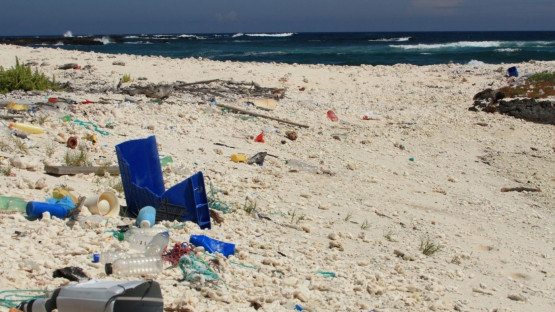 La iniciativa NUTEC Plastics ayuda a proteger la biodiversidad en las islas Galápagos