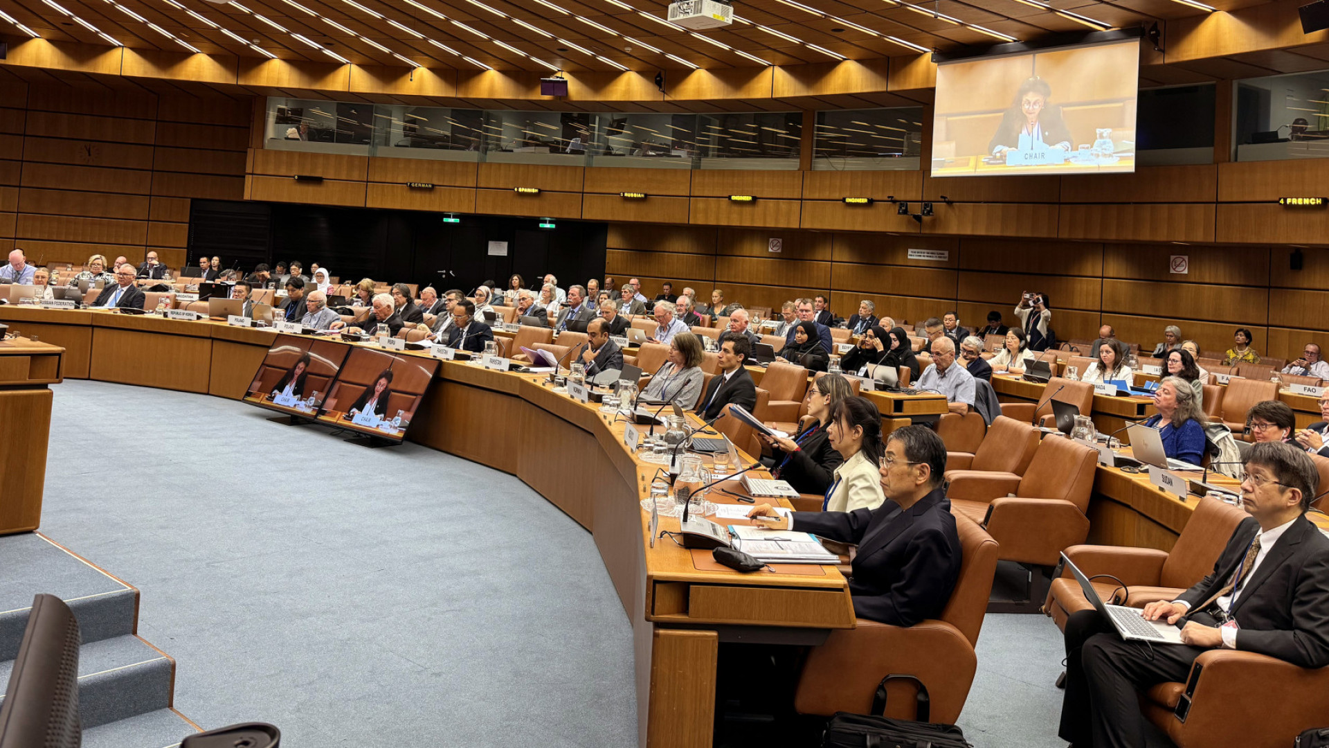 La ARN participó de la 72° Sesión Anual del UNSCEAR