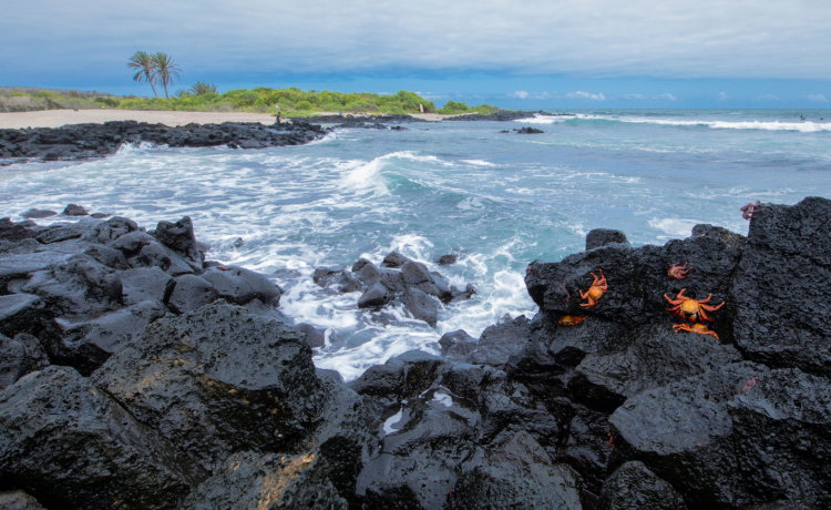 Abre un laboratorio respaldado por el OIEA para luchar contra los microplásticos en las islas Galápagos