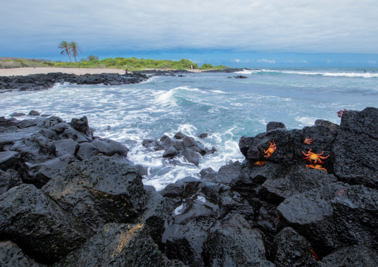 Abre un laboratorio respaldado por el OIEA para luchar contra los microplásticos en las islas Galápagos