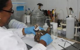 Ecuador y Panamá utilizan técnicas nucleares para investigaciones y restauraciones del patrimonio cultural