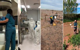 La ARN celebra el Día de la Protección Radiológica