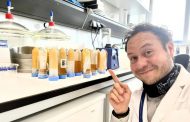 Chile recurre a la ciencia nuclear para autenticar la miel
