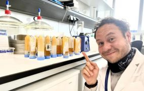 Chile recurre a la ciencia nuclear para autenticar la miel