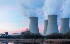 Posicionamiento de Argentina en Calidad Nuclear