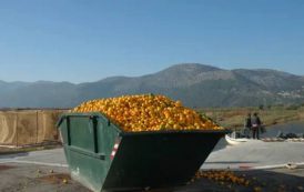Así ayudan las ciencias nucleares a combatir el desperdicio de alimentos