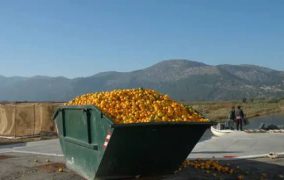 Así ayudan las ciencias nucleares a combatir el desperdicio de alimentos